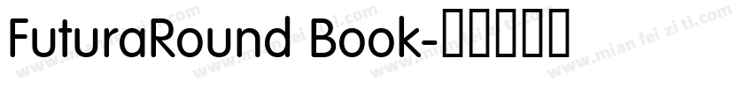 FuturaRound Book字体转换